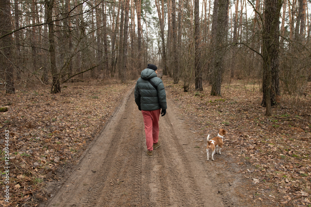 Fototapeta premium A person dressed in a puffy jacket and sweatpants strolls along a dirt path in a wooded area with a small Jack Russell Terrier by their side. The ground is covered in fallen leaves