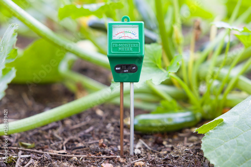 Soil moisture meter in a UK vegetable garden
