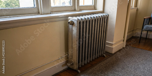 Wallpaper Mural A sleek, old-style radiator mounted on a wall in a minimalist apartment Torontodigital.ca