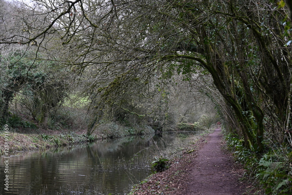 a view of the grand western canal near Tiverton from the tow path