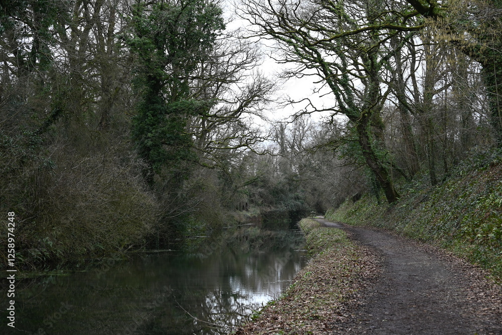a view of the grand western canal near Tiverton from the tow path a view of the grand western canal near Tiverton from the tow path