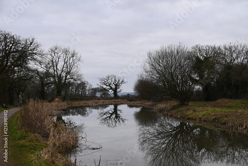 a view of the grand western canal near Tiverton from the tow path