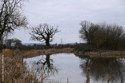 a view of the grand western canal near Tiverton from the tow path
