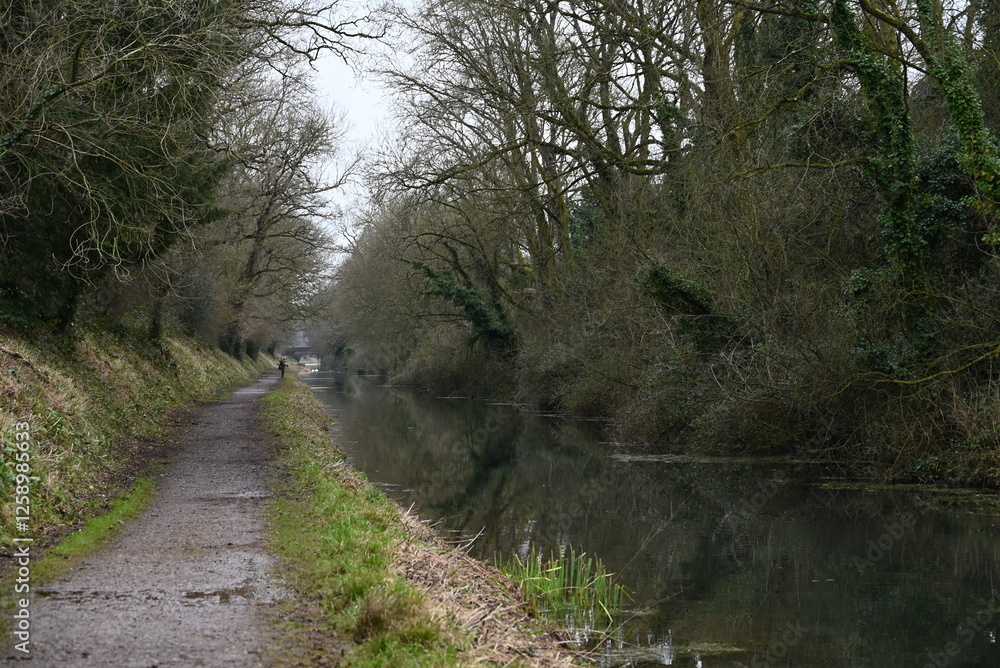 a view of the grand western canal near Tiverton from the tow path a view of the grand western canal near Tiverton from the tow path