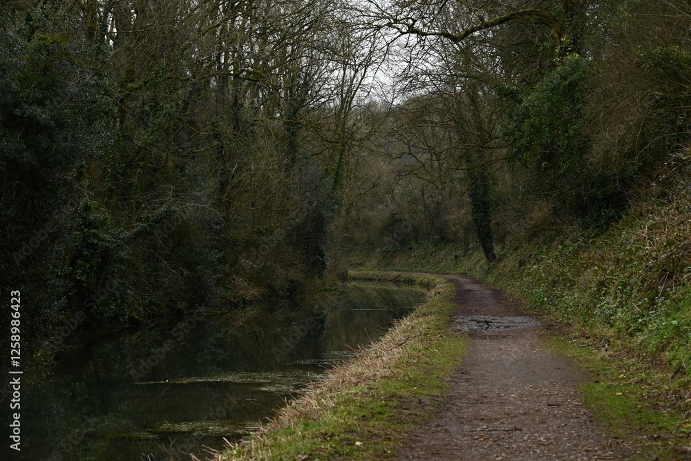 a view of the grand western canal near Tiverton from the tow path a view of the grand western canal near Tiverton from the tow path
