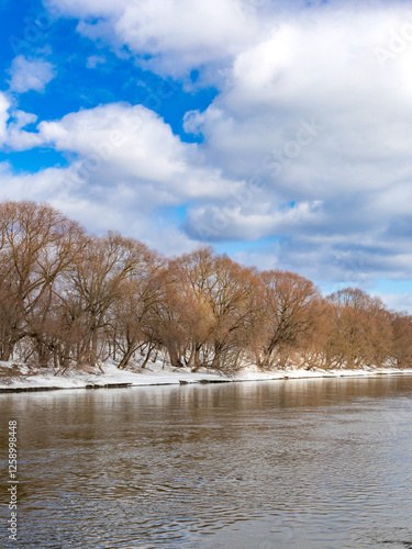 Wallpaper Mural Body of water with trees in the background Torontodigital.ca