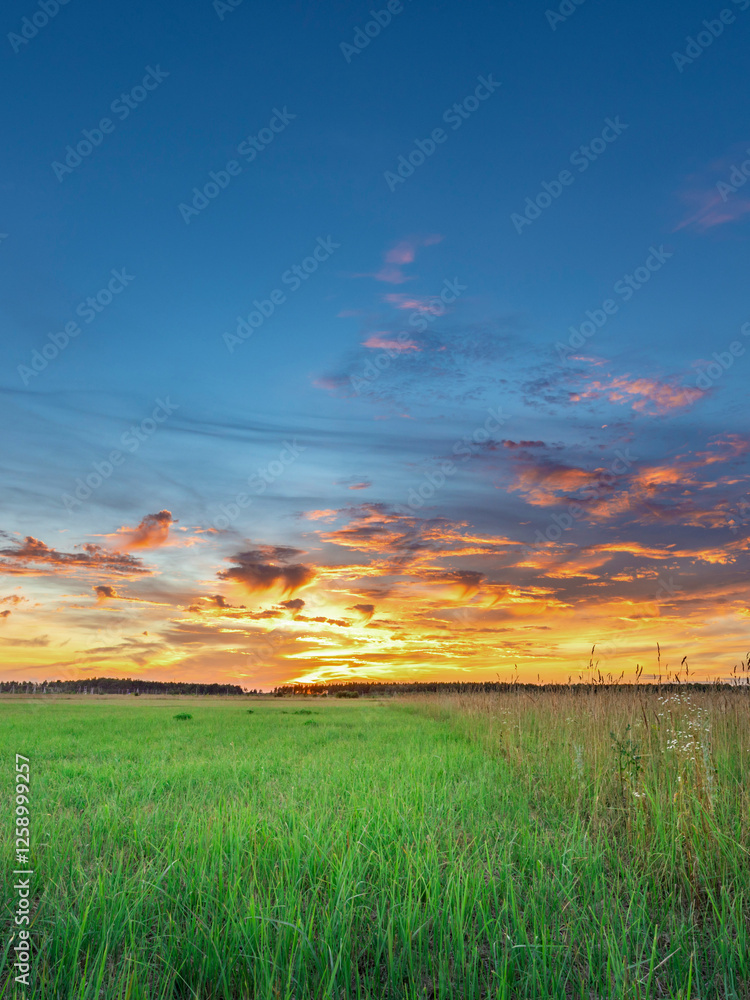 Field of grass with a beautiful sunset in the background Field of grass with a beautiful sunset in the background
