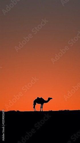 Single camel silhouetted against a glowing orange horizon the tracks in the sand leading into the distance