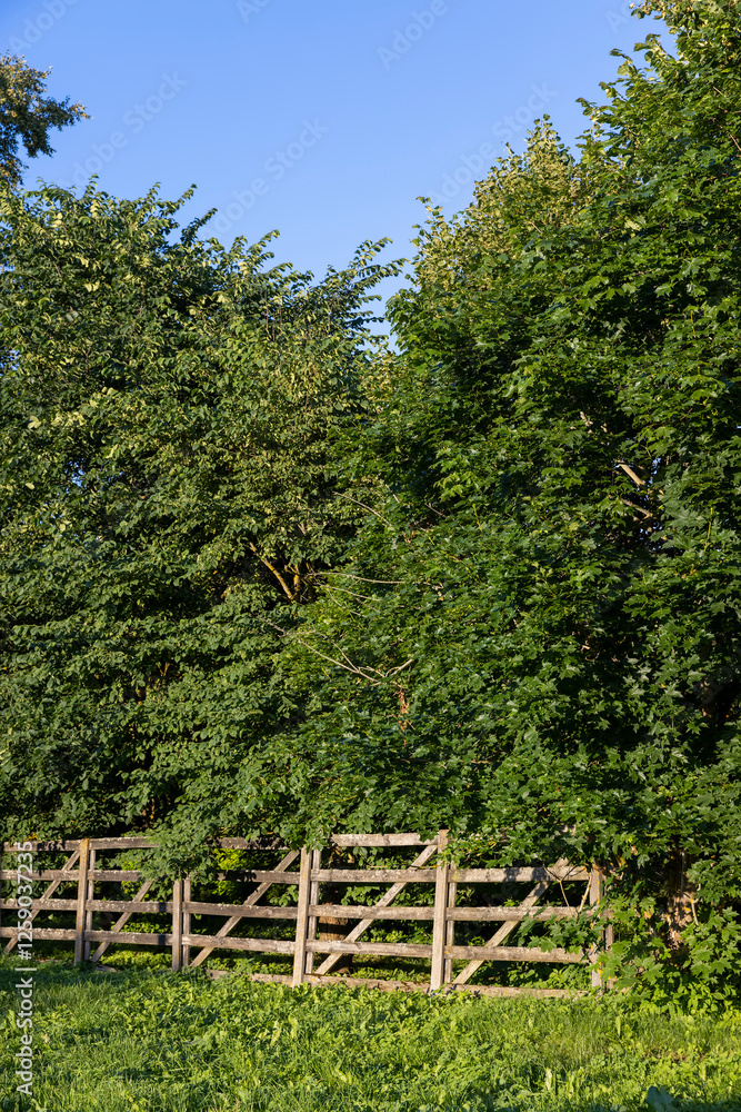 Fototapeta premium a small primitive wooden fence separating the village from the forest