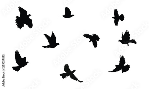 Flying African collared dove bird Silhouette Design  And Vector Illustration. 