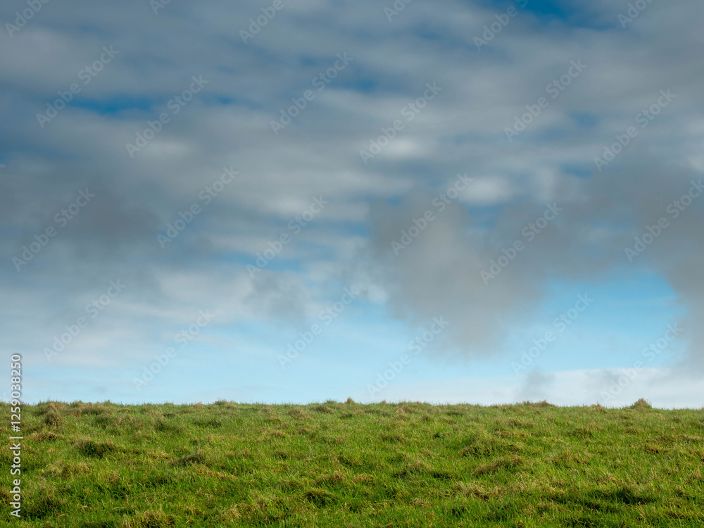 A field of grass with a cloudy sky in the background. The sky is mostly blue with some clouds scattered throughout. The grass is lush and green, giving the impression of a peaceful, serene landscape A field of grass with a cloudy sky in the background. The sky is mostly blue with some clouds scattered throughout. The grass is lush and green, giving the impression of a peaceful, serene landscape