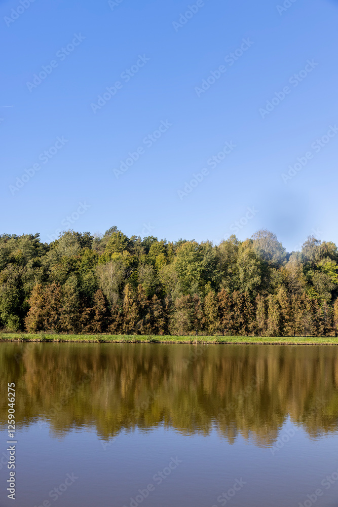 a lake with trees and various shrubs growing on the shore