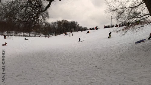 Winter Fun: Kids Sledding Down a Park Hill.