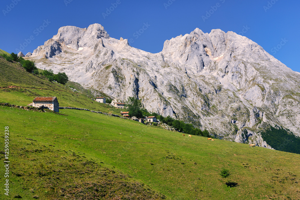 Natural Park of Picos de Europa