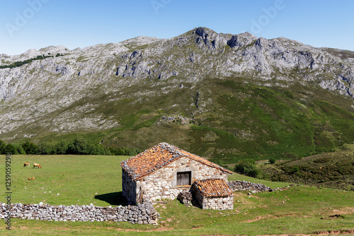 Natural Park of Picos de Europa photo