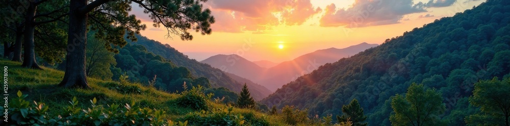 Obraz premium Blue and green forest landscape at sunset , forest, sunset, tree