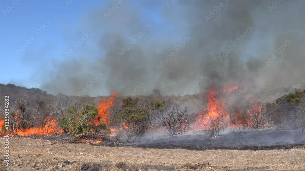 Wildfire in brush and grass with smoke Wildfire in brush and grass with smoke
