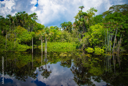 Palm trees and lush greenery reflecting on the still waters of the Arapiuns River.