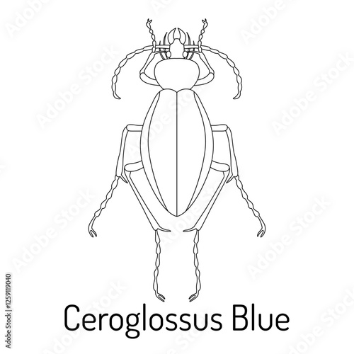 Black and white vector illustration of Ceroglossus Blue beetle. Detailed insect outline for coloring books, scientific studies, entomology projects, and decorative designs.