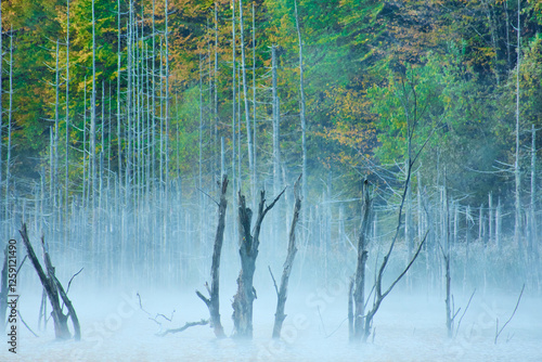 Autumn landscape with fog and trees reflecting in the water on Cuejdel Lake