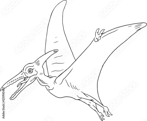 pterodactyl