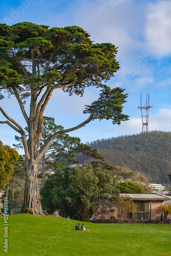 Obraz na płótnie A large tree stands in Golden Gate Park, San Francisco, with Sutro Tower on a nearby hill under a blue sky with clouds, creating a peaceful and scenic urban landscape. w salonie