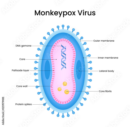 Diagram of Monkeypox Virus