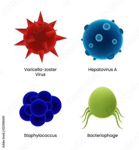 Types of Viruses and Bacteria