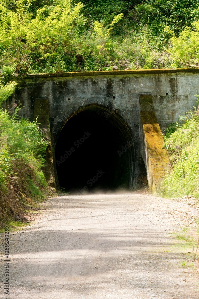 Dark Spooners Tunnel in a Lush Forest – Mysterious Historic Passageway Dark Spooners Tunnel in a Lush Forest – Mysterious Historic Passageway
