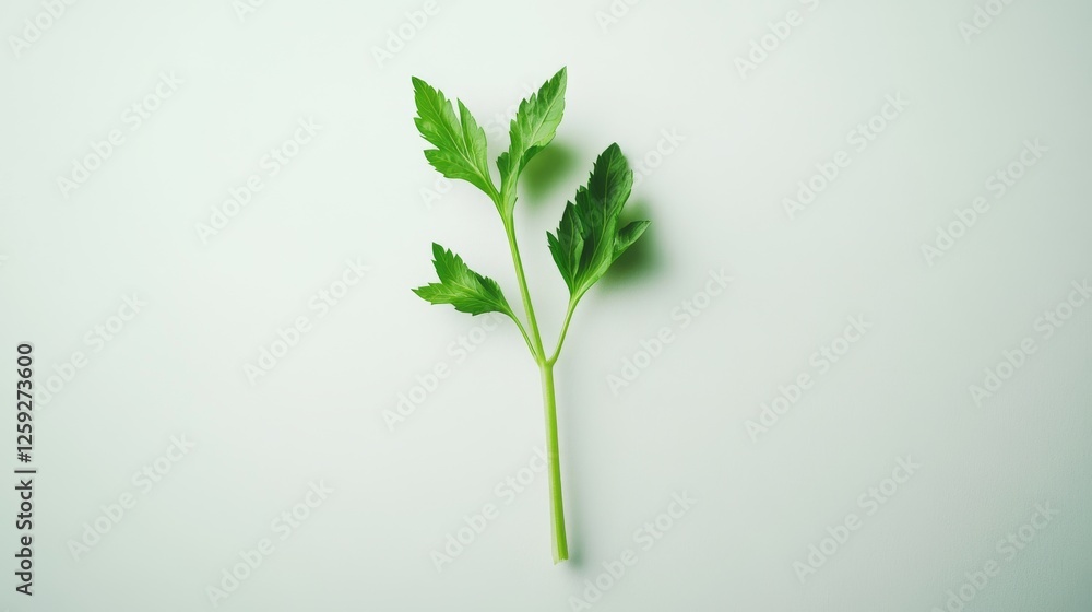 104.A crisp stalk of fresh green celery placed on a clean white background, showcasing its natural texture and vibrant color with high detail. 104.A crisp stalk of fresh green celery placed on a clean white background, showcasing its natural texture and vibrant color with high detail.