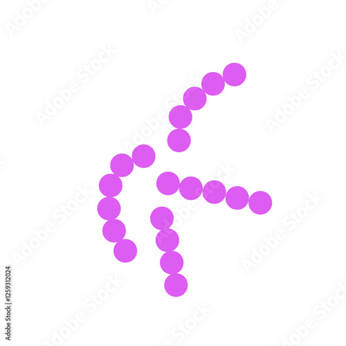 streptococcus pneumoniae bacteria flat style