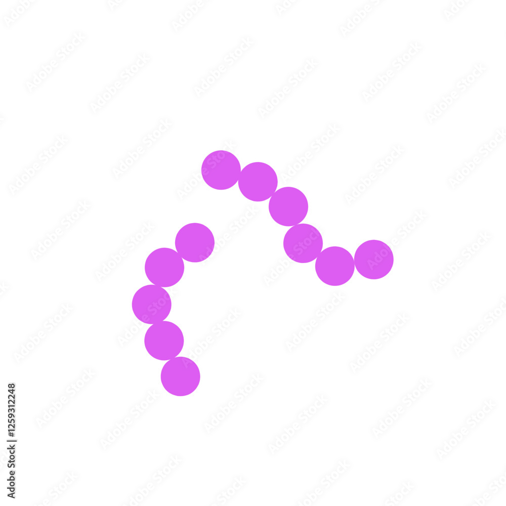 streptococcus pneumoniae bacteria flat style streptococcus pneumoniae bacteria flat style