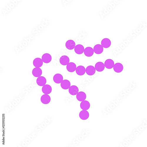 streptococcus pneumoniae bacteria flat style