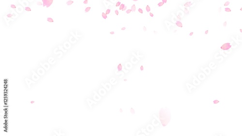 風に舞う桜の花びらの水彩のアニメ（花びら上部多め）