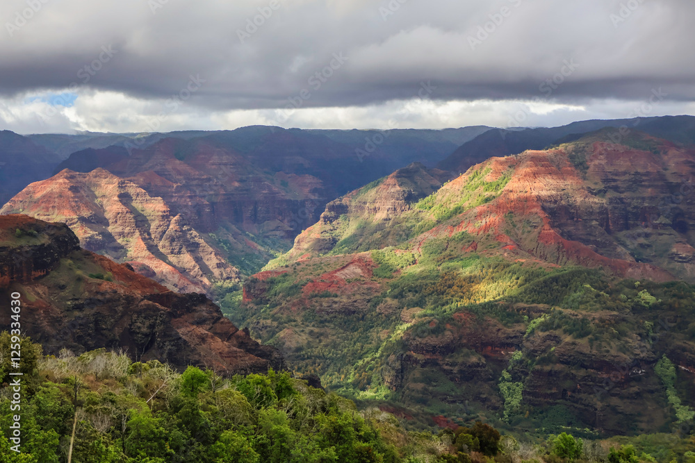 Naklejka premium Views of Waimea Canyon from various lookout points along Waimea Canyon Drive in Waimea Canyon State Park in Kauai