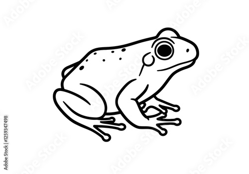 Black and White Frog Clip Art. A monochrome frog illustration with detailed outlines. Vector illustration design. photo