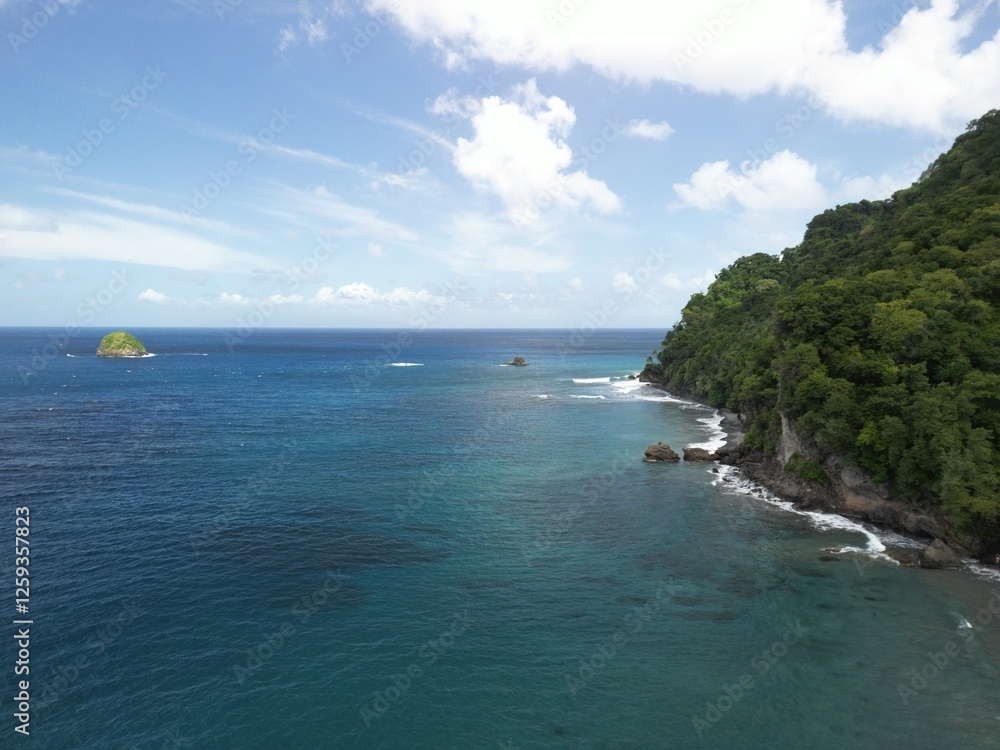 Fototapeta premium anse ceron, black sand beach, martinica, martinique
