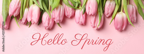 Hello spring, pink tulips on a pink background, top view, with text photo