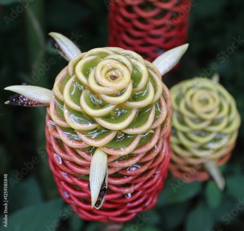 Flores exóticas