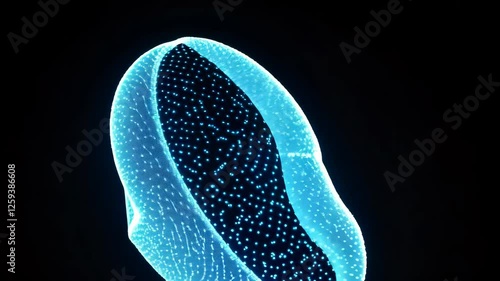 Digital Human Head Visualization