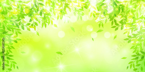 新緑　葉　風景　背景