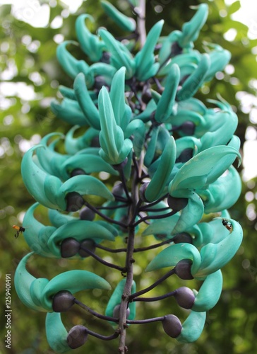 Jade en flor
