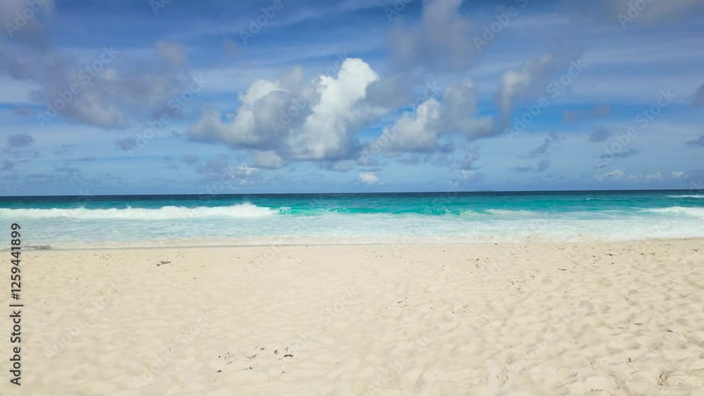Silhouette of palm leaves contrasts against turquoise sea and bright sky. Seychelles, La Digue. Silhouette of palm leaves contrasts against turquoise sea and bright sky. Seychelles, La Digue.