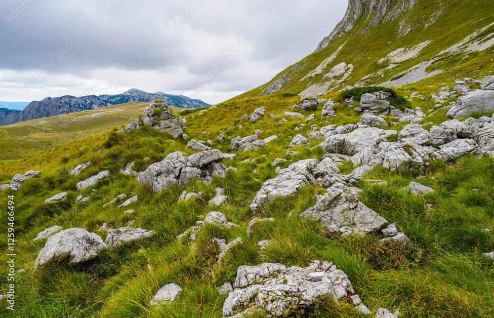 Rocks among the green grass of Prutas Peak Rocks among the green grass of Prutas Peak