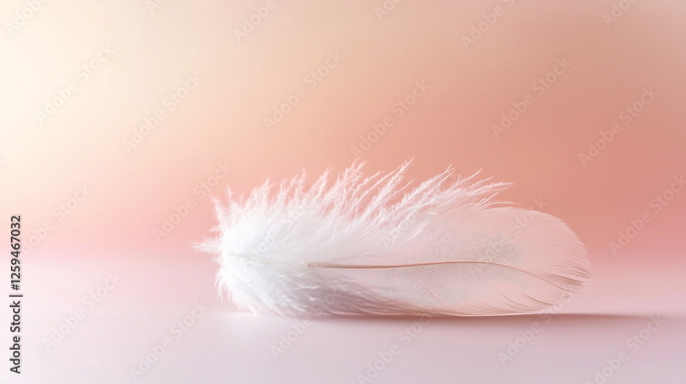 Fototapeta premium Soft white feather resting gently against a peach-toned backdrop, creating a serene and delicate composition -ai