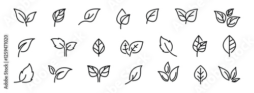 leaf  icon set, Luxury nature leaves design, Green leaf line arts, Hand drawn outline design for Vector illustration.