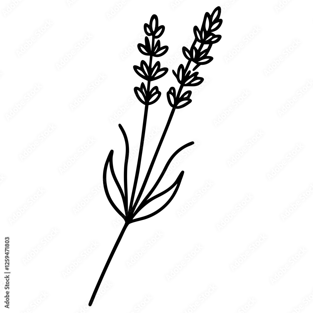 Lavender Sprig Icon with Tall Stem and Flowers Vector Lavender Sprig Icon with Tall Stem and Flowers Vector