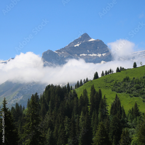 Green mountain meadow and peak of Mount Oldehore. photo