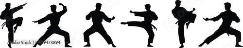 Silhouette Martial Art Vector Illustration