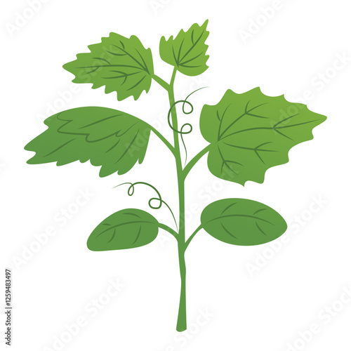 Cucumber seedling shoot. Seedlings for the vegetable garden. Farm plantings. Home gardening. Growing vegetables and garden plants. Vector illustration isolated on a transparent background.